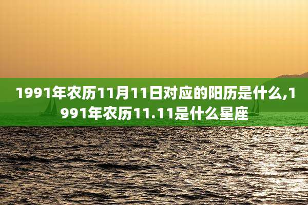 1991年农历11月11日对应的阳历是什么,1991年农历11.11是什么星座