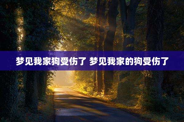 梦见我家狗受伤了 梦见我家的狗受伤了