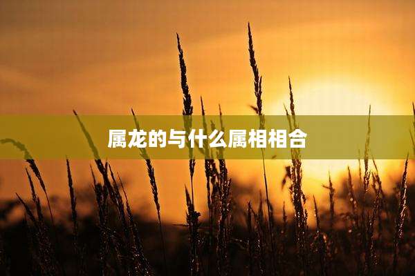 属龙的与什么属相相合