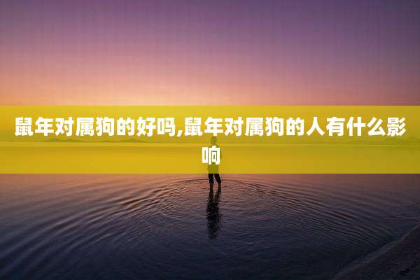 鼠年对属狗的好吗,鼠年对属狗的人有什么影响