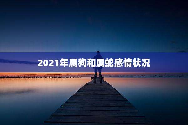 2021年属狗和属蛇感情状况