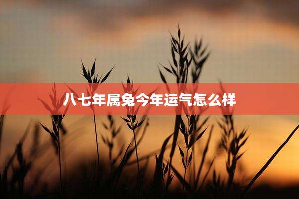 八七年属兔今年运气怎么样