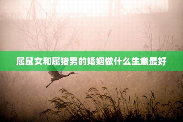 属鼠女和属猪男的婚姻做什么生意最好