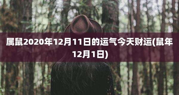 属鼠2020年12月11日的运气今天财运(鼠年12月1日)