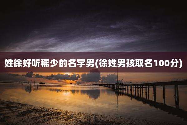 姓徐好听稀少的名字男(徐姓男孩取名100分)