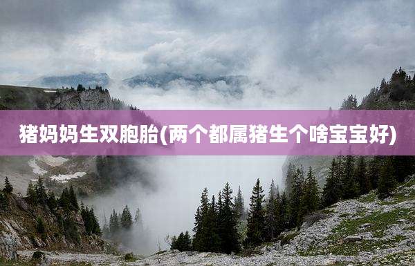 猪妈妈生双胞胎(两个都属猪生个啥宝宝好)