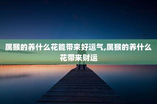 属猴的养什么花能带来好运气,属猴的养什么花带来财运