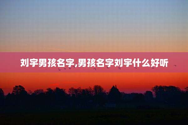 刘宇男孩名字,男孩名字刘宇什么好听