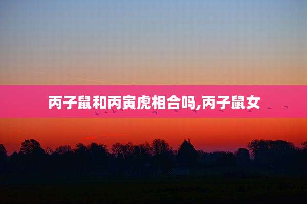 丙子鼠和丙寅虎相合吗,丙子鼠女