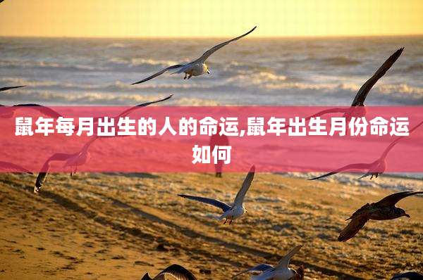 鼠年每月出生的人的命运,鼠年出生月份命运如何