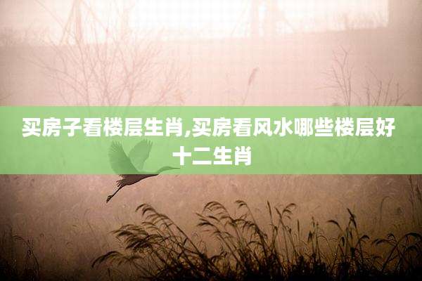 买房子看楼层生肖,买房看风水哪些楼层好 十二生肖