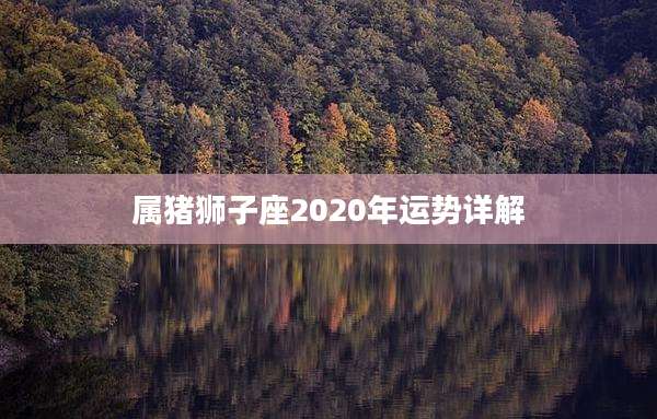 属猪狮子座2020年运势详解
