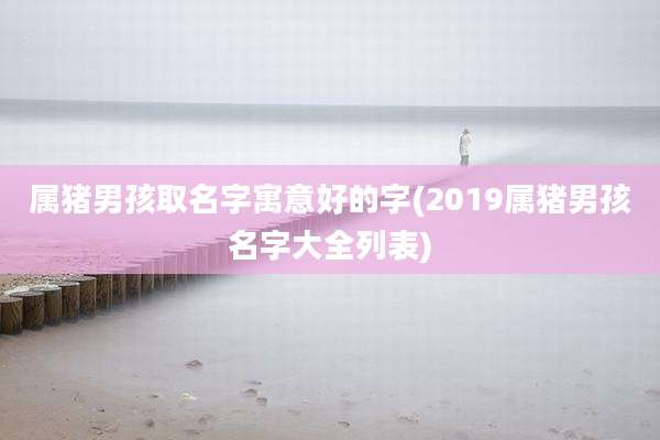 属猪男孩取名字寓意好的字(2019属猪男孩名字大全列表)