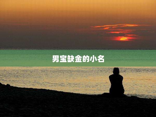 男宝缺金的小名