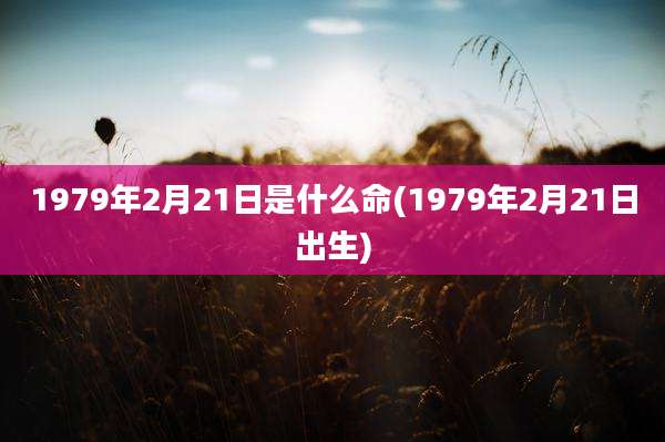 1979年2月21日是什么命(1979年2月21日出生)