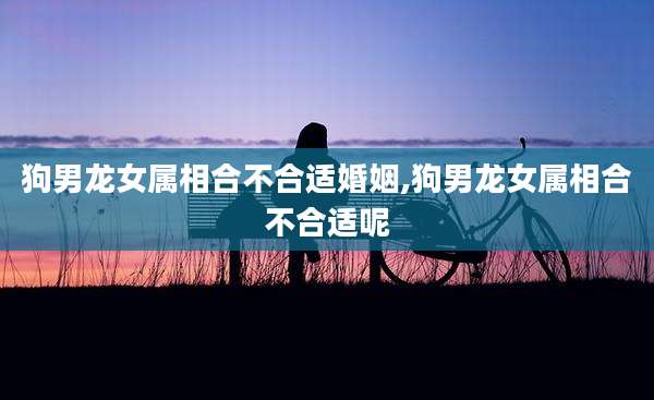 狗男龙女属相合不合适婚姻,狗男龙女属相合不合适呢