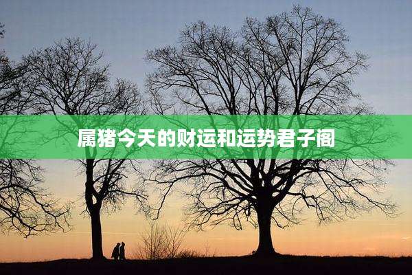 属猪今天的财运和运势君子阁
