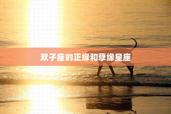 双子座的正缘和孽缘星座