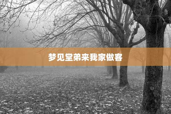 梦见堂弟来我家做客