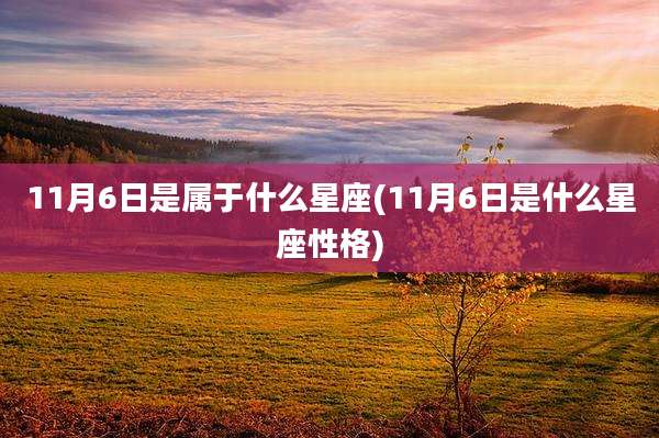 11月6日是属于什么星座(11月6日是什么星座性格)