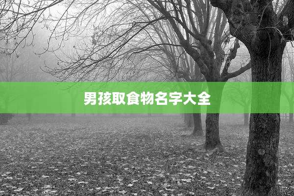 男孩取食物名字大全