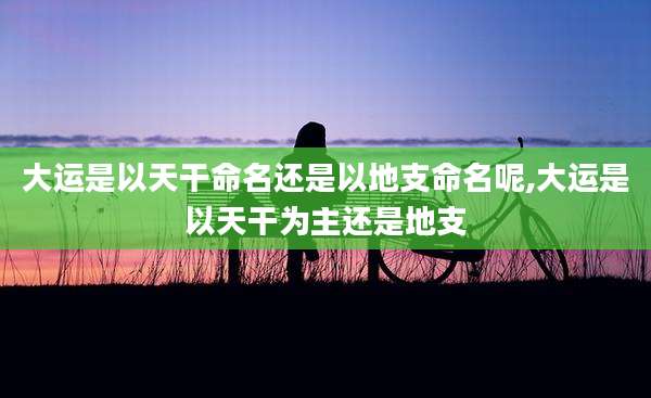 大运是以天干命名还是以地支命名呢,大运是以天干为主还是地支