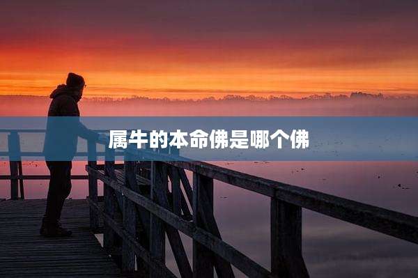 属牛的本命佛是哪个佛