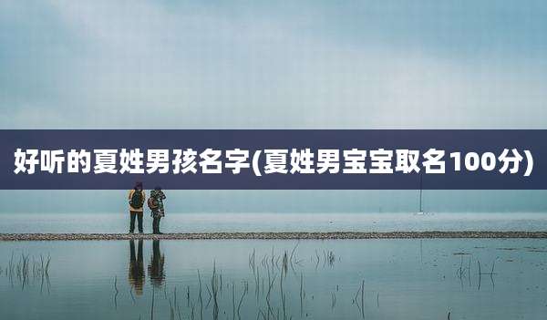 好听的夏姓男孩名字(夏姓男宝宝取名100分)