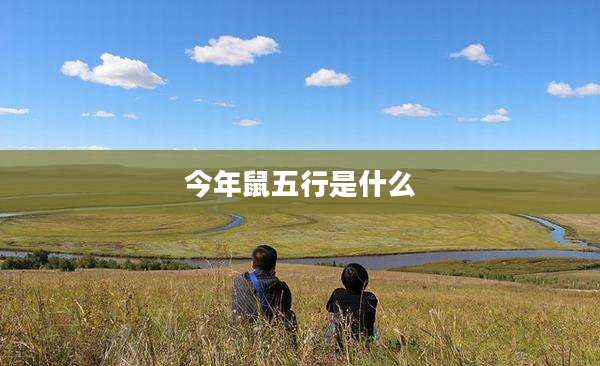 今年鼠五行是什么