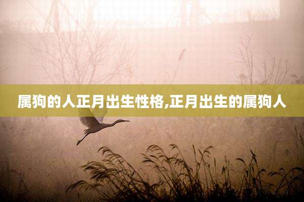 属狗的人正月出生性格,正月出生的属狗人
