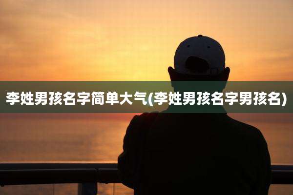 李姓男孩名字简单大气(李姓男孩名字男孩名)