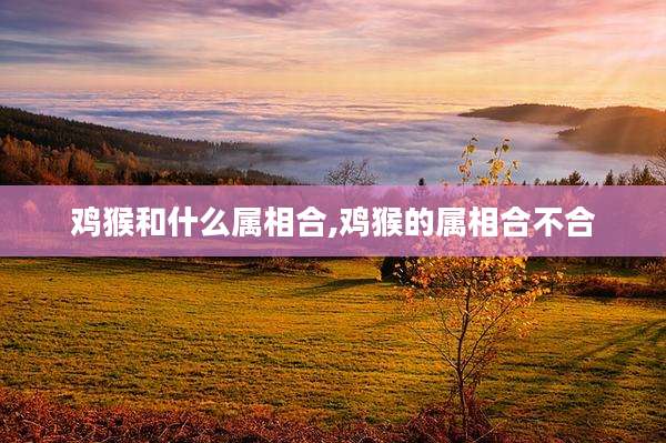 鸡猴和什么属相合,鸡猴的属相合不合