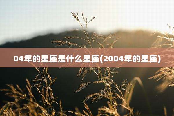 04年的星座是什么星座(2004年的星座)