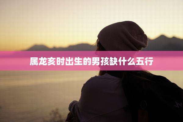 属龙亥时出生的男孩缺什么五行