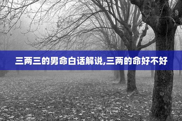 三两三的男命白话解说,三两的命好不好
