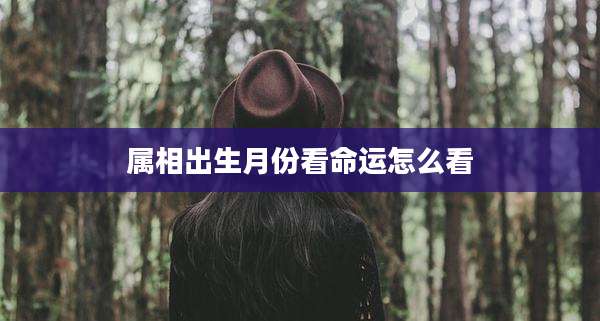 属相出生月份看命运怎么看