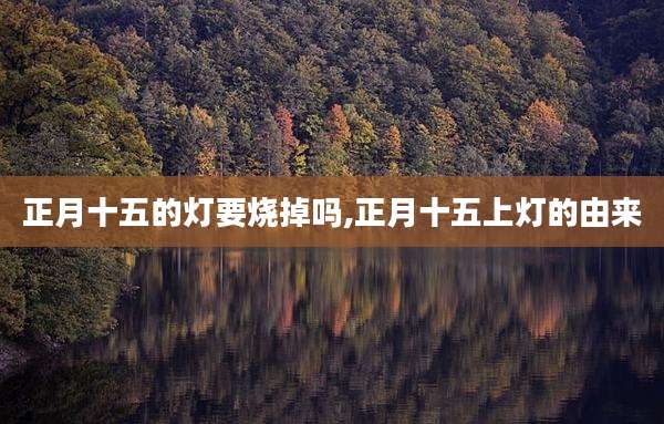 正月十五的灯要烧掉吗,正月十五上灯的由来