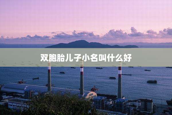 双胞胎儿子小名叫什么好