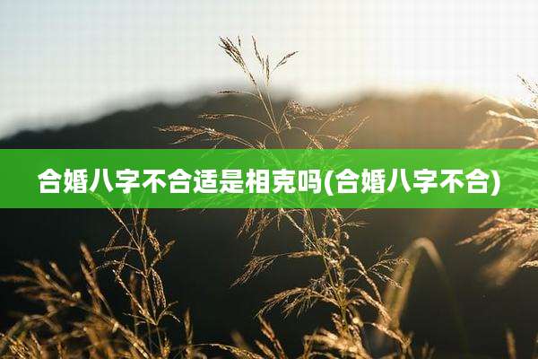 合婚八字不合适是相克吗(合婚八字不合)