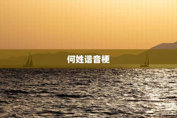 何姓谐音梗
