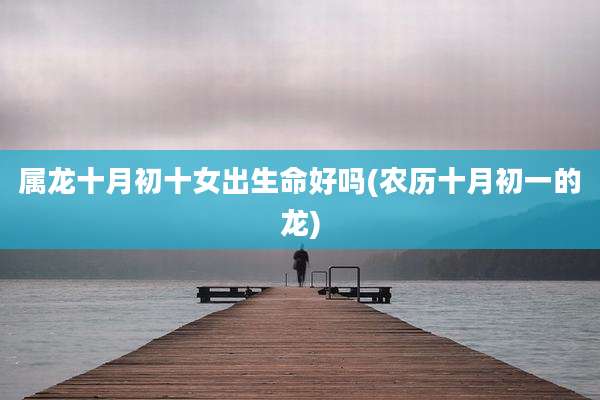属龙十月初十女出生命好吗(农历十月初一的龙)