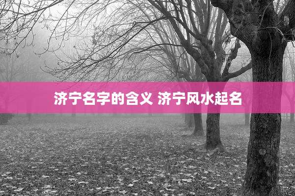 济宁名字的含义 济宁风水起名