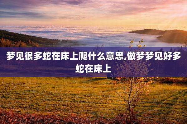 梦见很多蛇在床上爬什么意思,做梦梦见好多蛇在床上