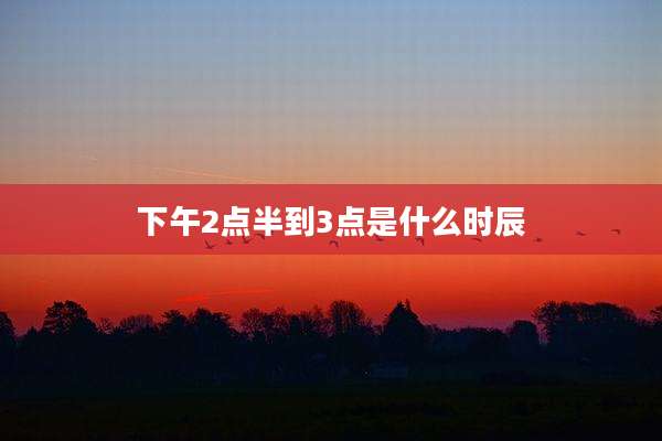 下午2点半到3点是什么时辰