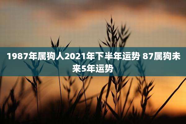 1987年属狗人2021年下半年运势 87属狗未来5年运势