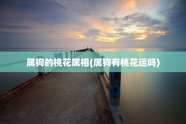 属狗的桃花属相(属狗有桃花运吗)