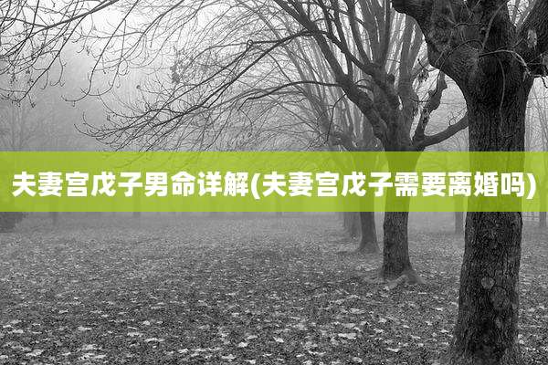 夫妻宫戊子男命详解(夫妻宫戊子需要离婚吗)