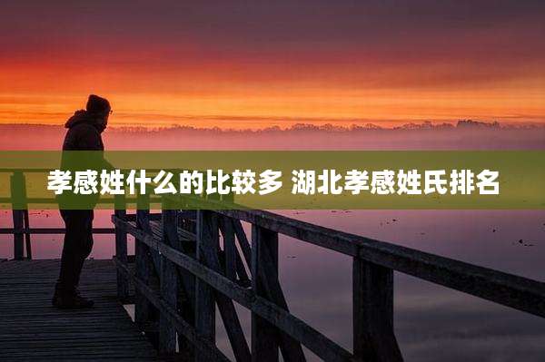 孝感姓什么的比较多 湖北孝感姓氏排名