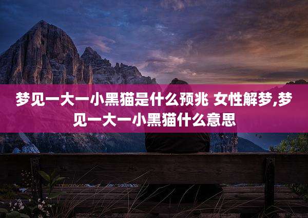 梦见一大一小黑猫是什么预兆 女性解梦,梦见一大一小黑猫什么意思