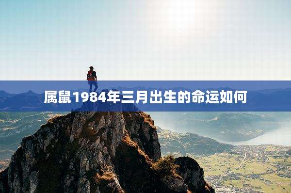 属鼠1984年三月出生的命运如何